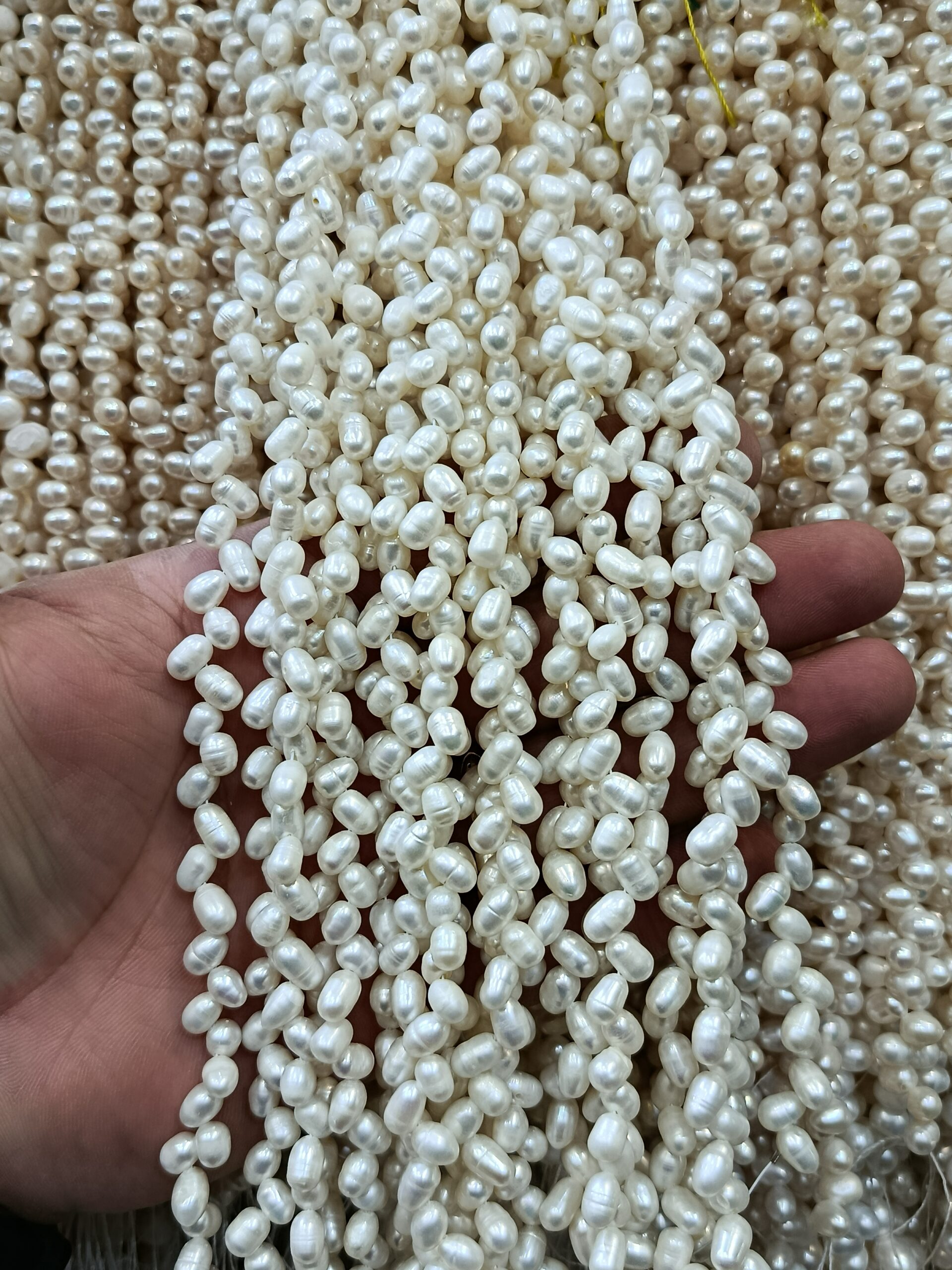 مروارید ضربدری