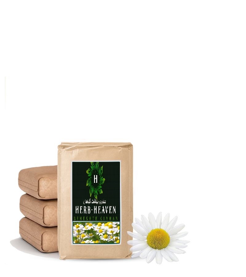 گیاه بابونه شیرازی