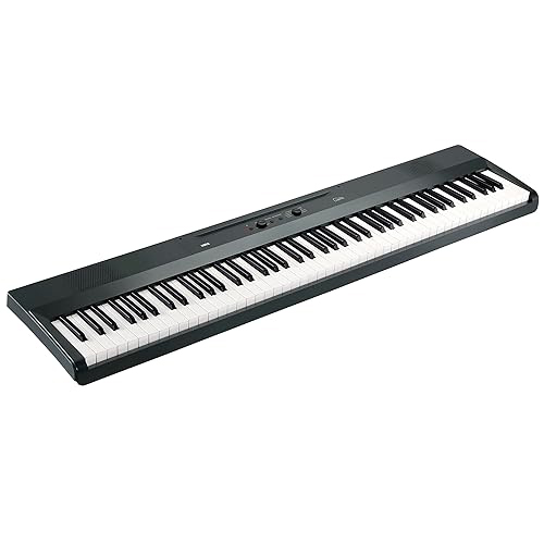پیانو دیجیتال Korg Liano L1 MGRAY