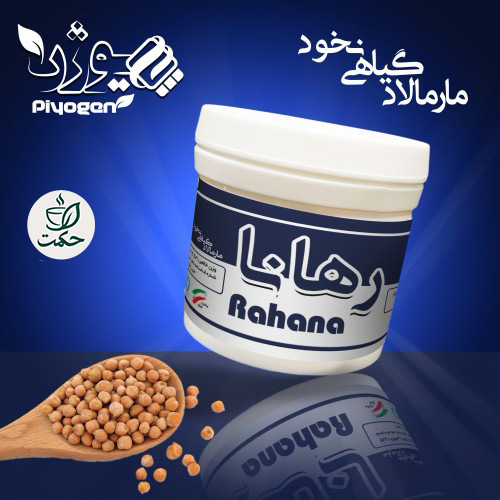 ریچل گیاهی رهانا ( قاعده آور)