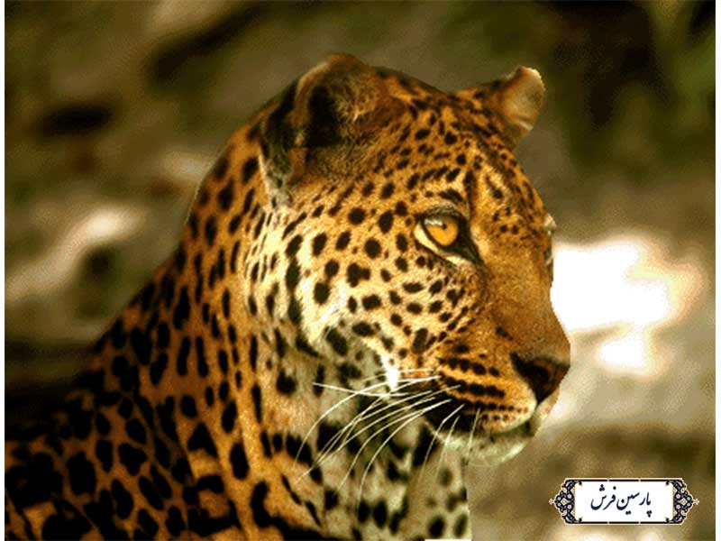 نخ و نقشه تابلو فرش طرح پلنگ - کد NH3570