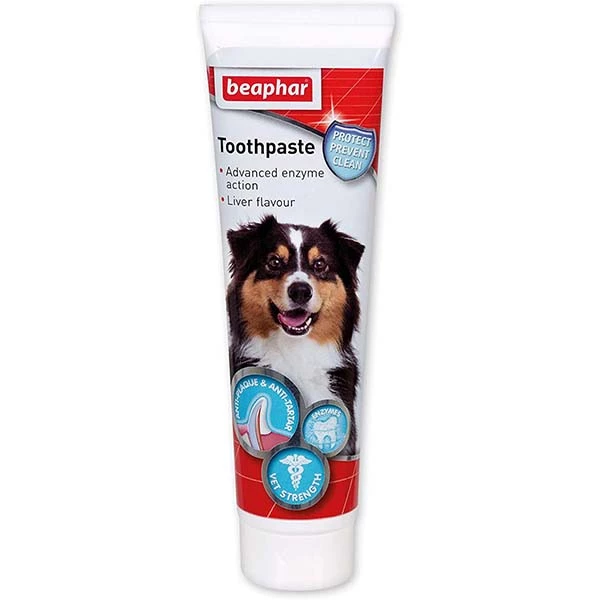خمیر دندان سگ و گربه مدل Toothpaste وزن 100 گرم