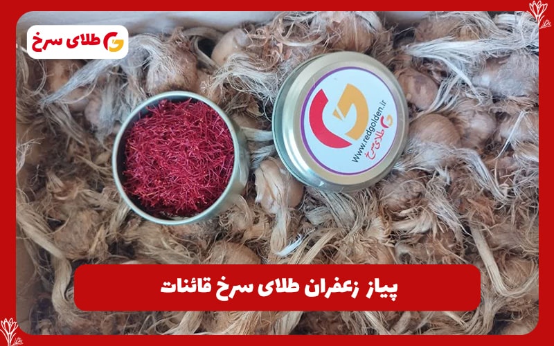 پیاز زعفران 10گرم