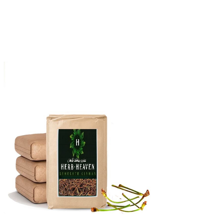 دم گیلاس