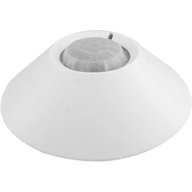 چشم 360 درجه پارادوکس