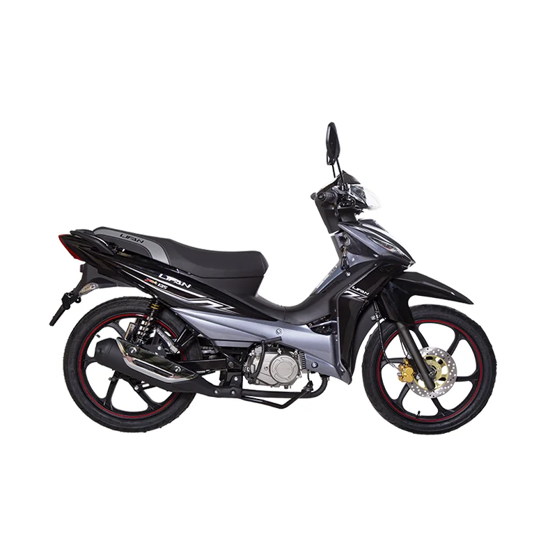 موتور سیکلت Lifan PK 125 cc