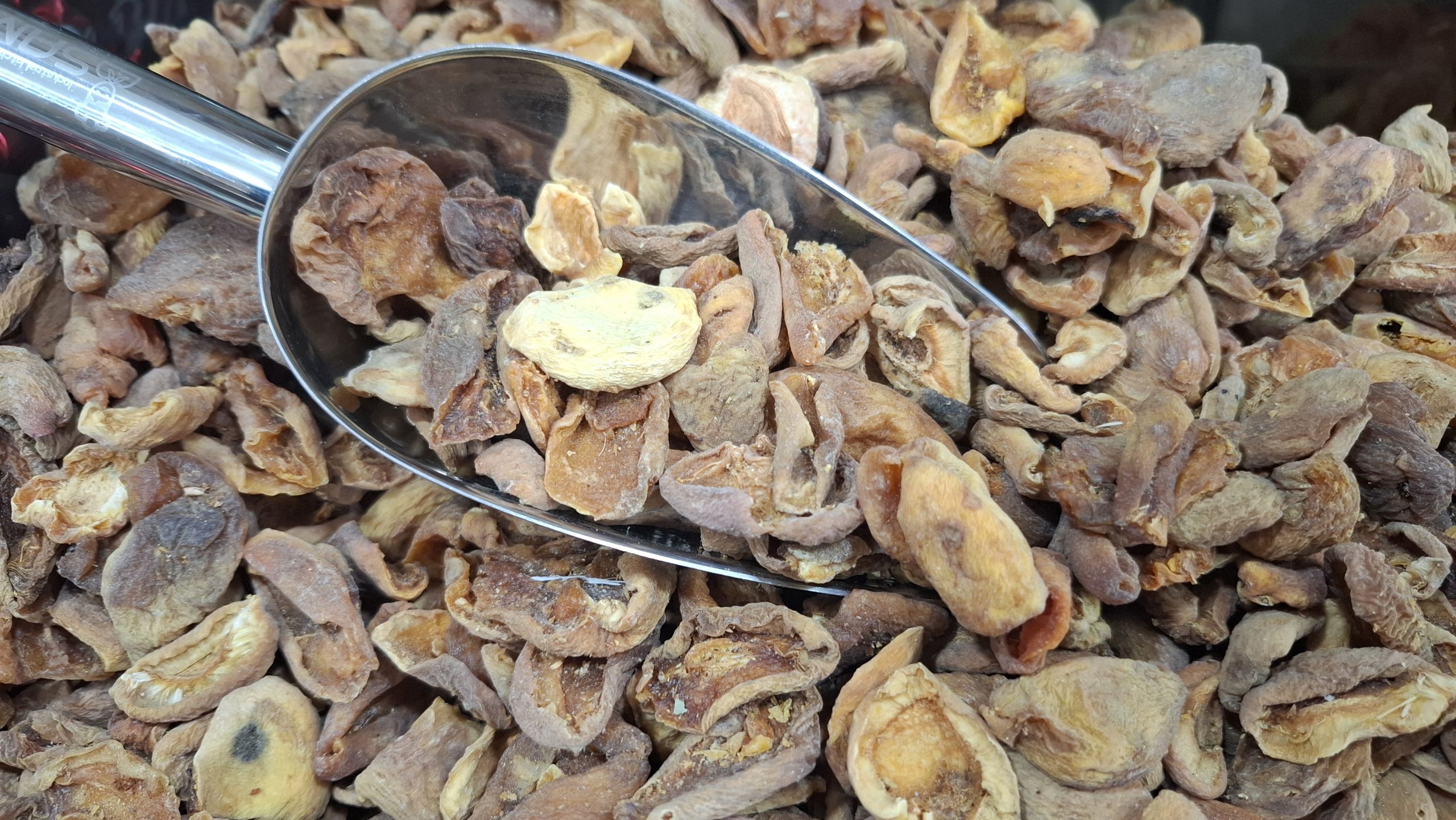برگه قیصی