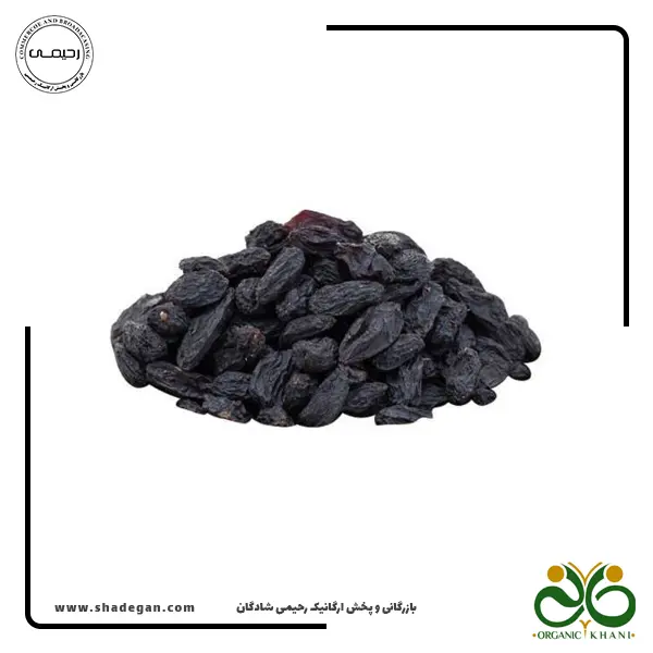 مویز سایه
