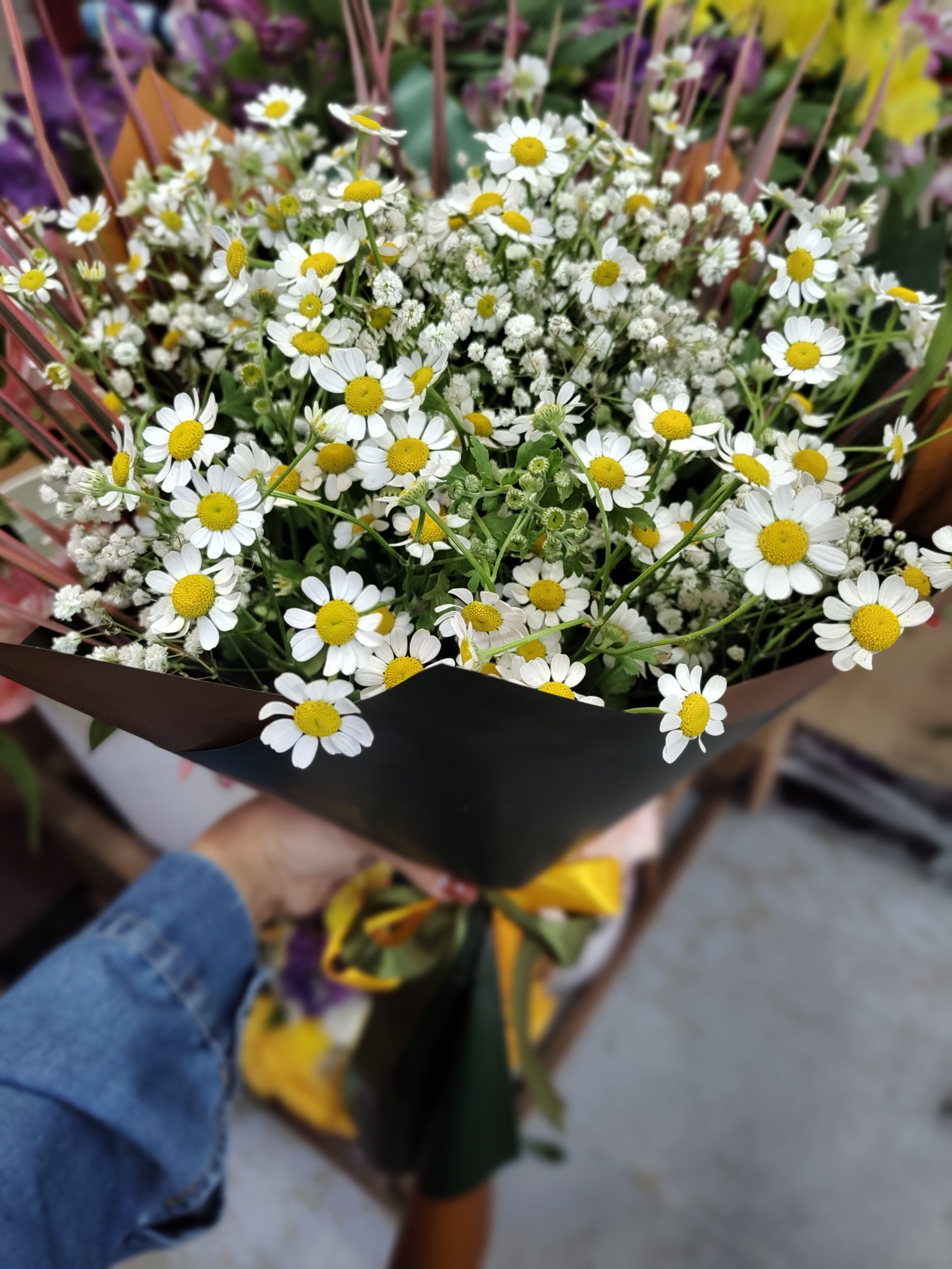 دسته گل بابونه جدید - اصفهان