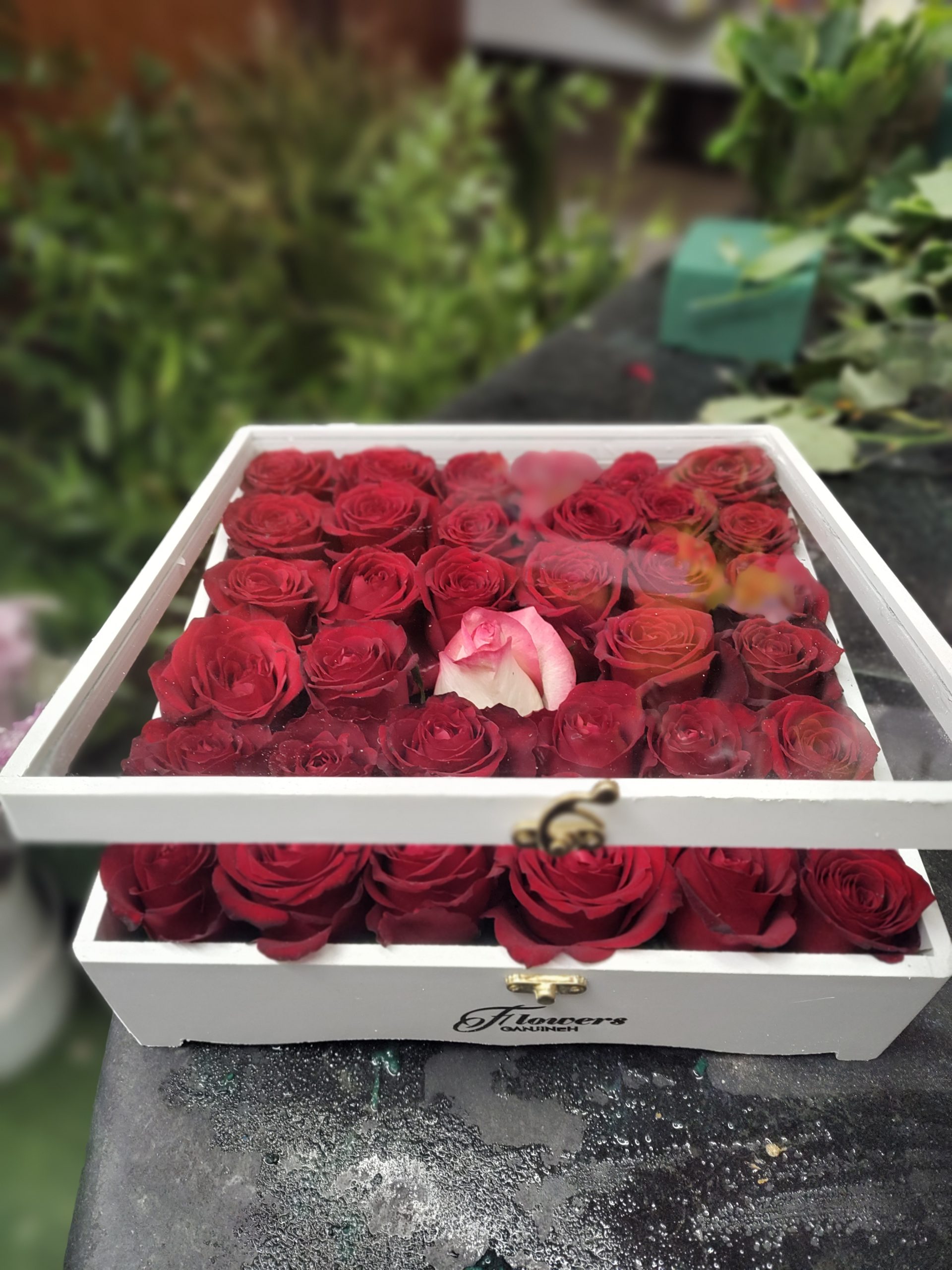 باکس رز قرمز پلکسی در شیشه ای - اصفهان