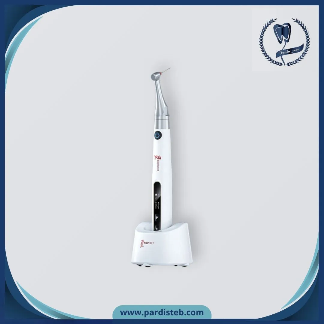 روتاری وودپیکر اندوپیس Woodpecker Endo Pace