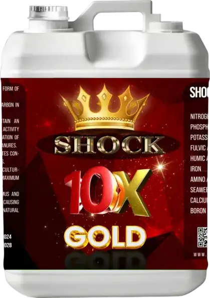 کود 10X گلد شوک - 5 لیتری