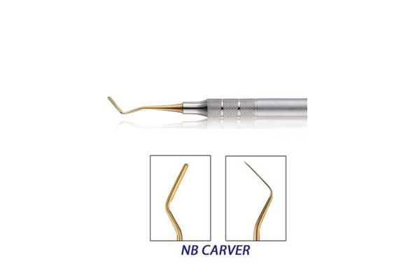 قلم تکی کامپوزیت بیسکو Bisco Carver P