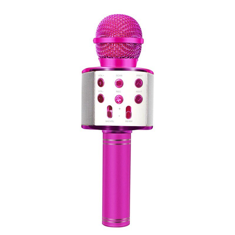 میکروفون اسپیکر مدل WS-858