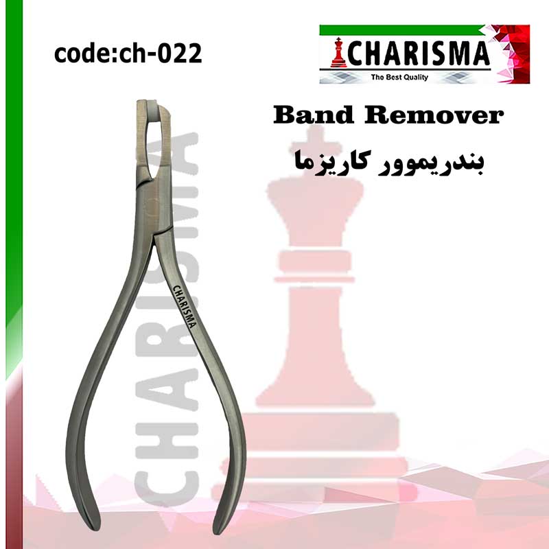 پلایر بندریموور کاریزما