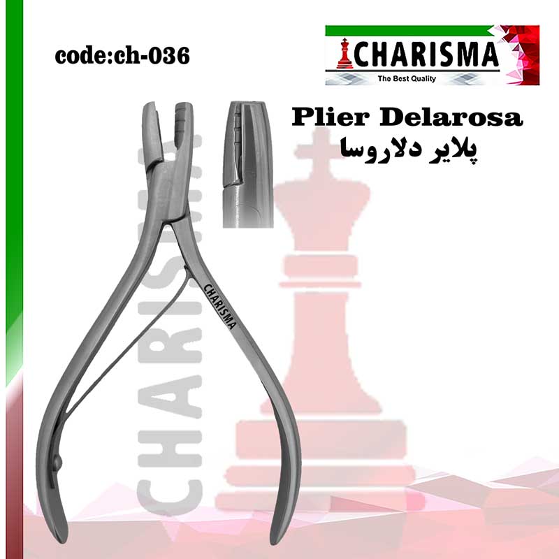 پلایر دلاروزا کاریزما