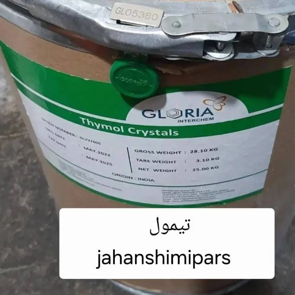 تیمول گلوریا