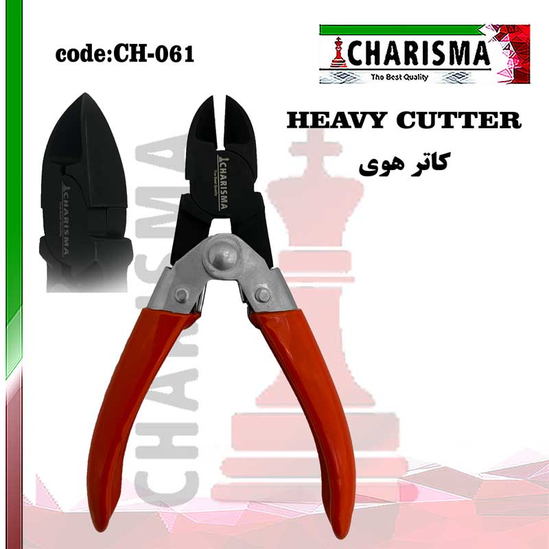 هوی کاتر کاریزما