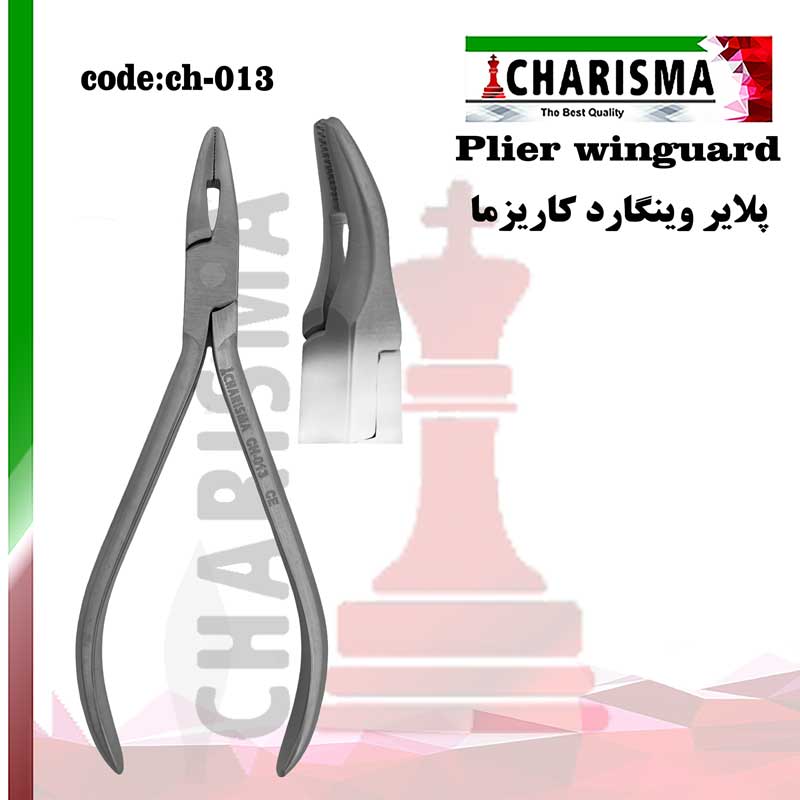 پلایر وینگارد کاریزما