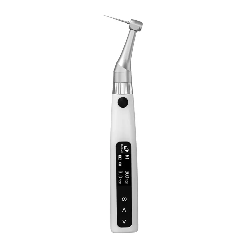 اندو موتور ایتیس E-CONNECT S Eighteeth