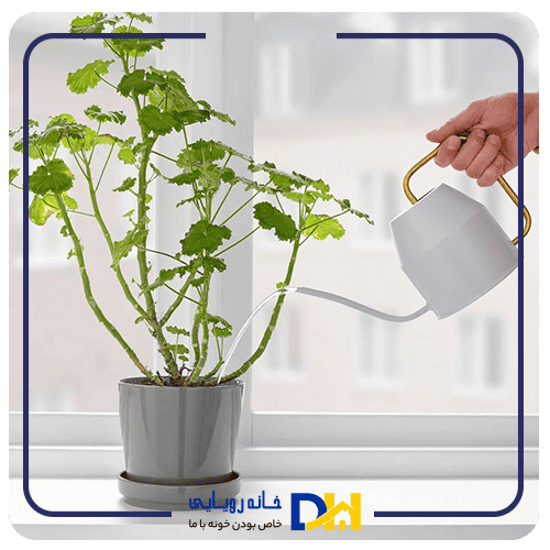 آبپاش لعابی خاکستری ایکیا VATTENKRASSE