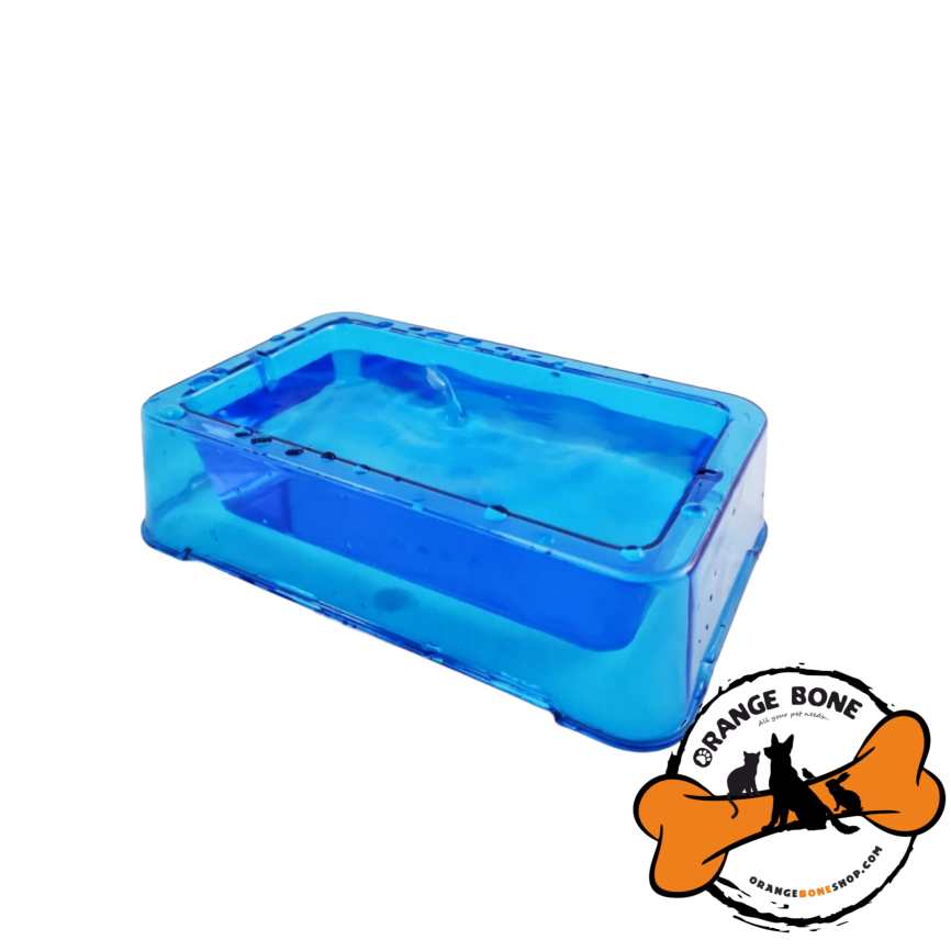 وان و دانخوری پرنده آرش