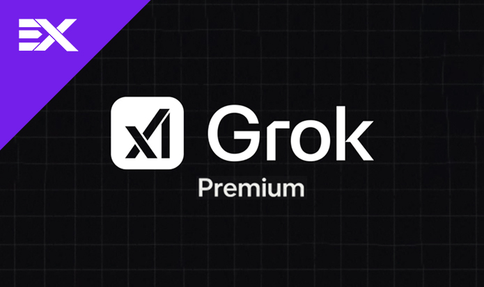 اکانت Grok