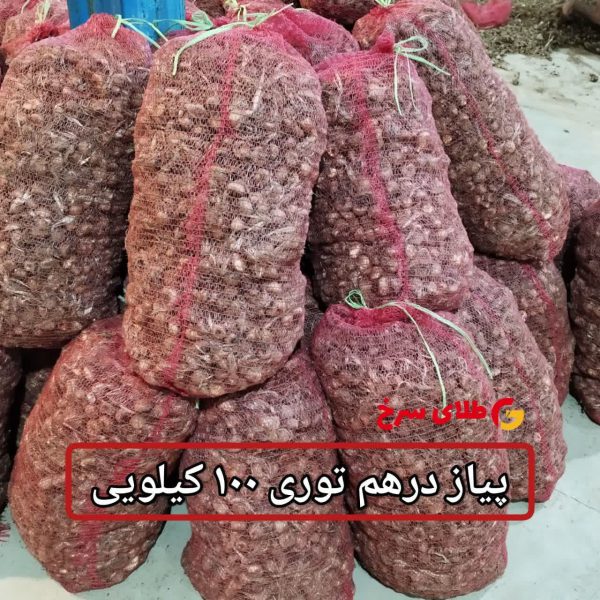 پیاز زعفران گلخانه ای 15 کیلویی