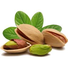 پسته کله قوچی