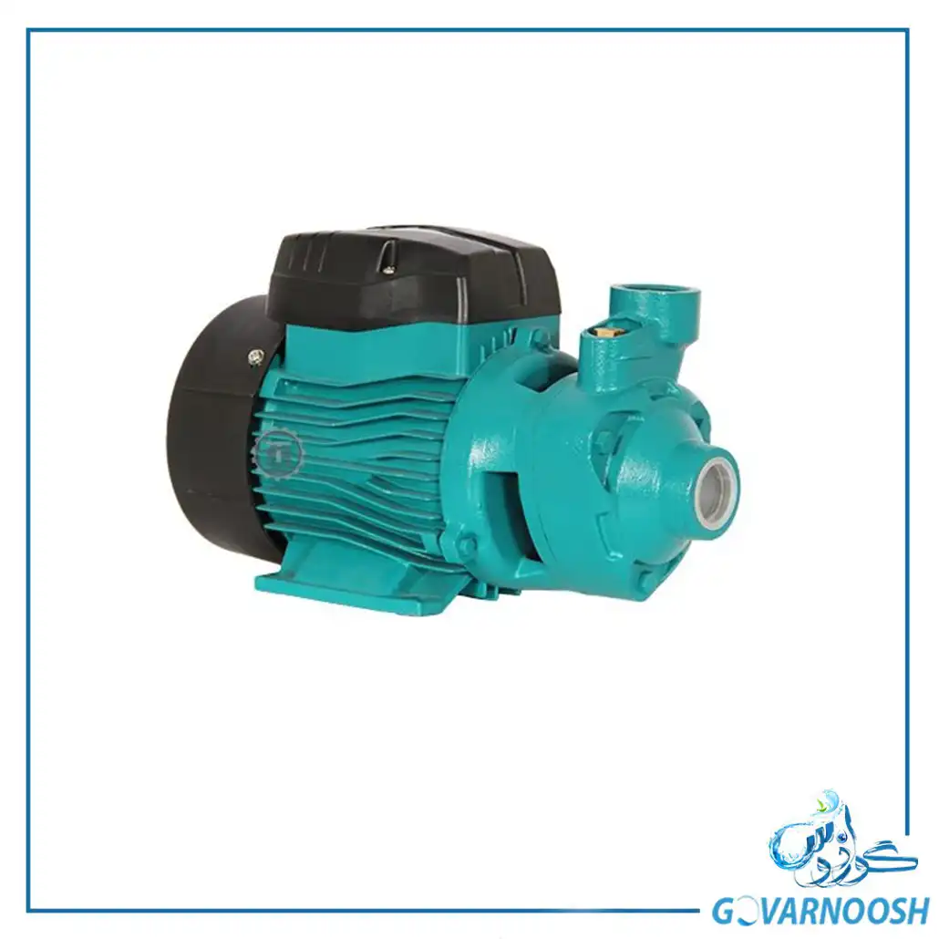 پمپ آب یک اسب محیطی LEO لئو مدل APm75