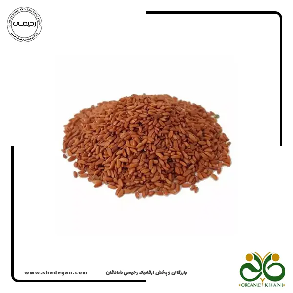 بذر شاهی