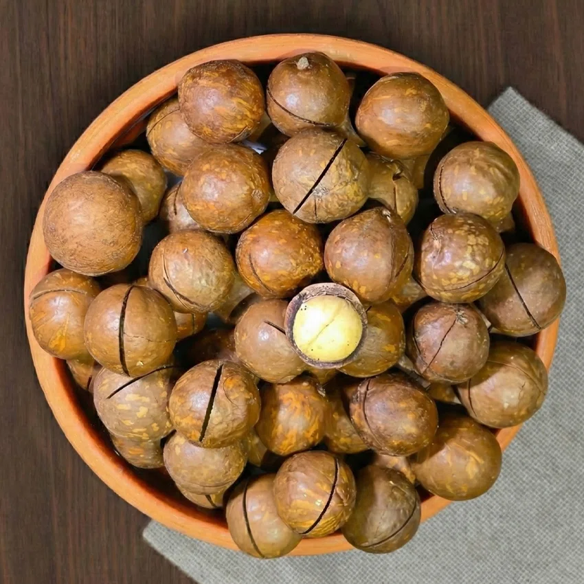 فندق ماکادمیا استرالیایی (کلید دار)