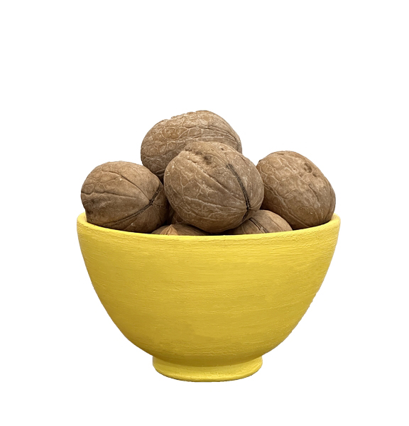 گردو ایرانی