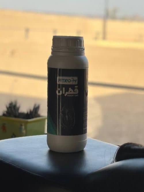 قطران سم اسب