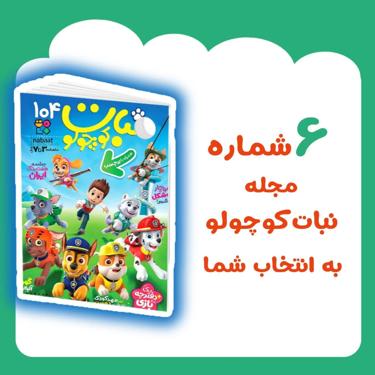 بسته 6 جلدی نبات کوچولو