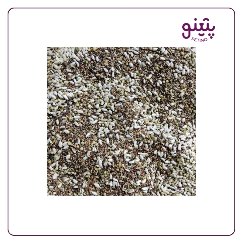 هفت تخم فله ای طوطی