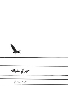 حیرانی شبانه