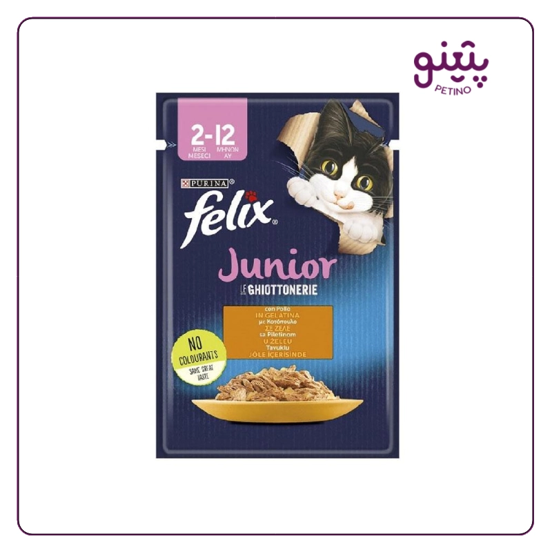 پوچ بچه گربه فلیکس با طعم مرغ