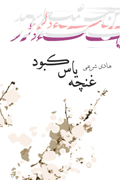غنچه یاس کبود