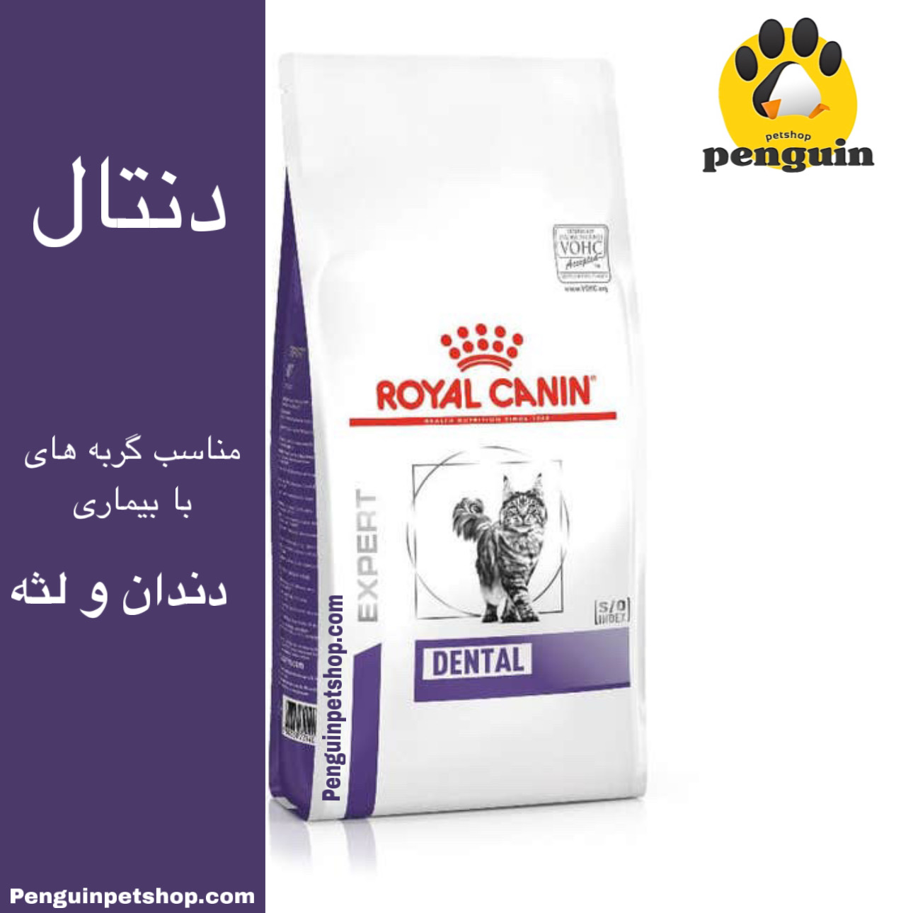 غذای خشک گربه دنتال رویال کنین Dental وزن 1.5 کیلوگرم ROYAL CANIN
