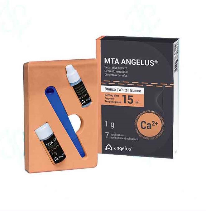 MTA Angelus – ام‌تی‌ای آنجلوس