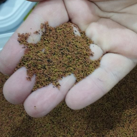 غذای گرانول نانو ویت تروپیکال nanovit granulat (بسته بندی باصرفه)