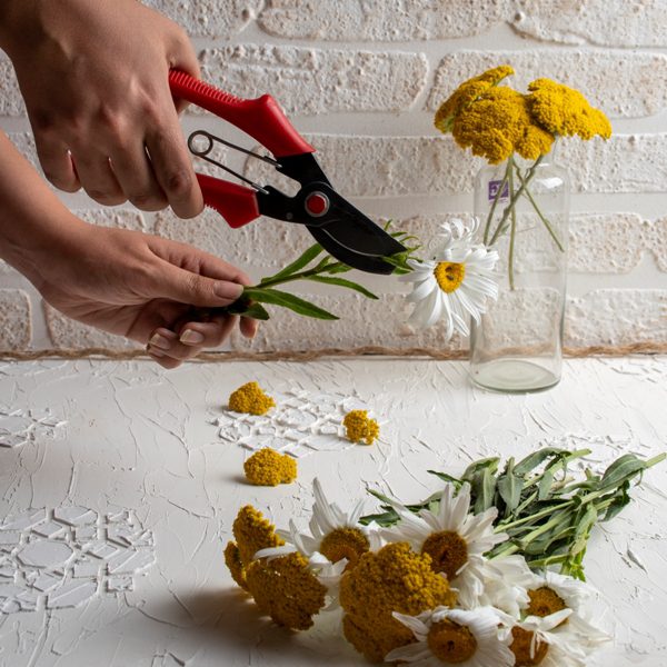 قیچی باغبانی دندانه دار اصلی