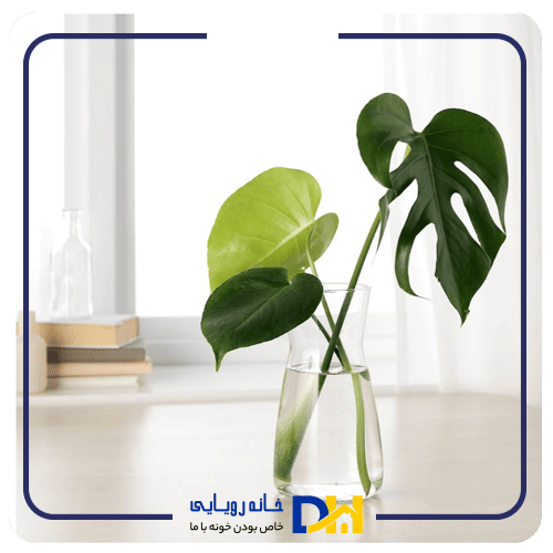 گلدان بلوری ایکیا