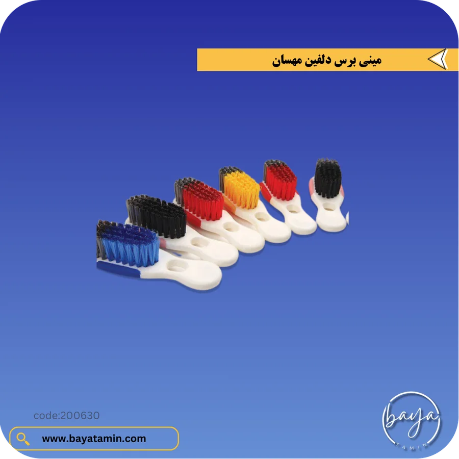 مینی برس دلفین