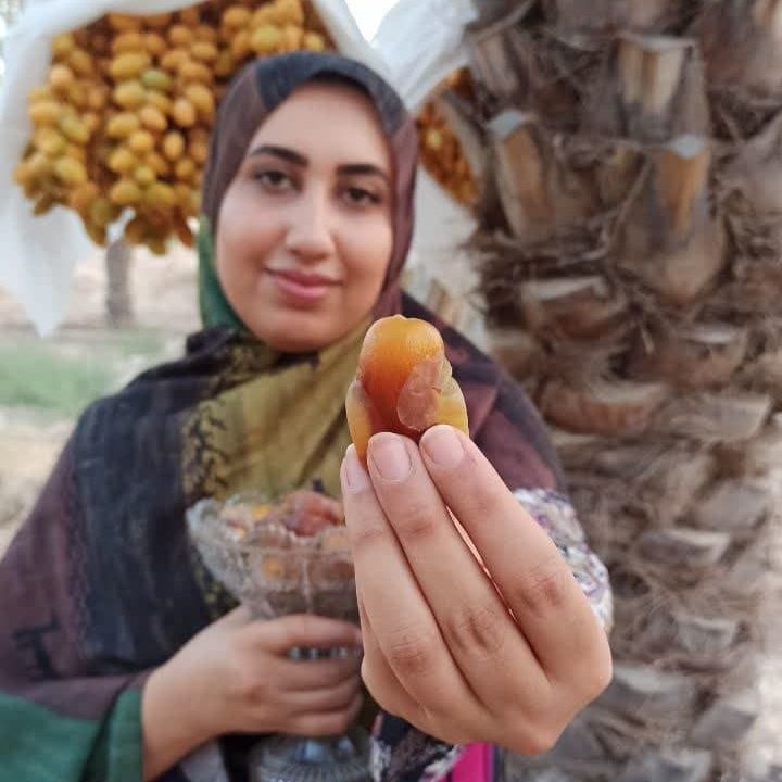 رطب کبکاب نوبرانه _ پک 3 کیلویی