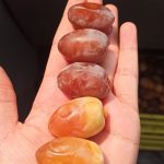 رطب کبکاب نوبرانه _ پک 6 کیلویی