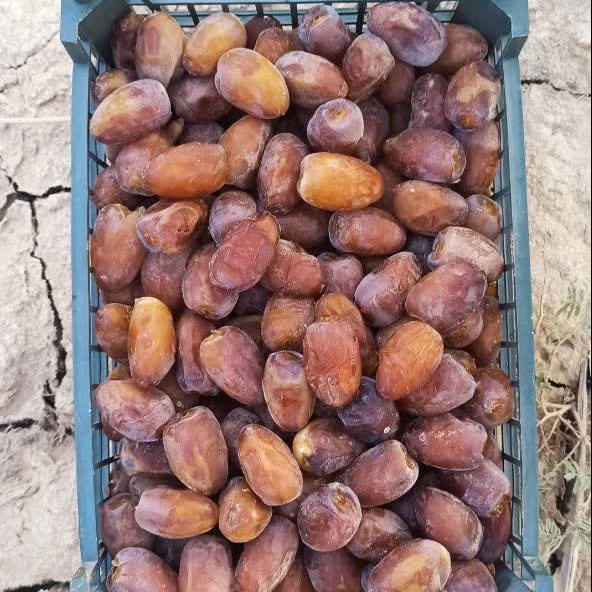 رطب کبکاب نوبرانه _ پک 9 کیلویی