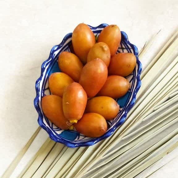 پک 3 کیلویی خارک امساله