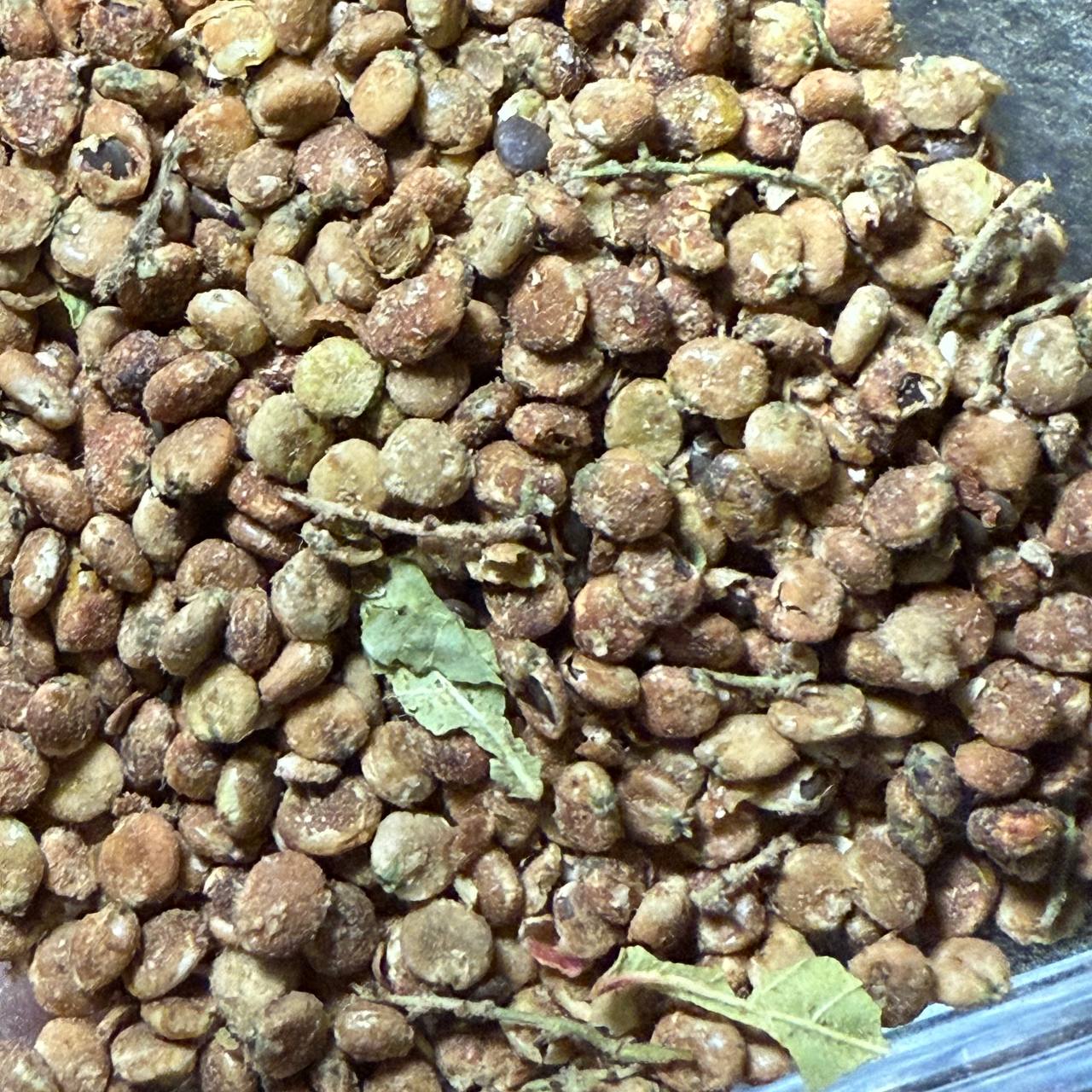 دانه سماق